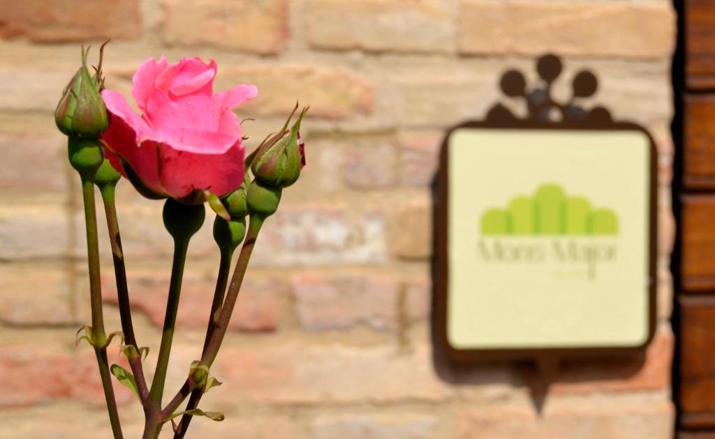 Mons Major Relais Villa Montemaggiore al Metauro Buitenkant foto